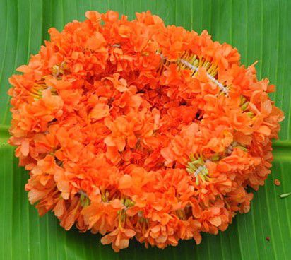 Kanakambaram String - 6ft