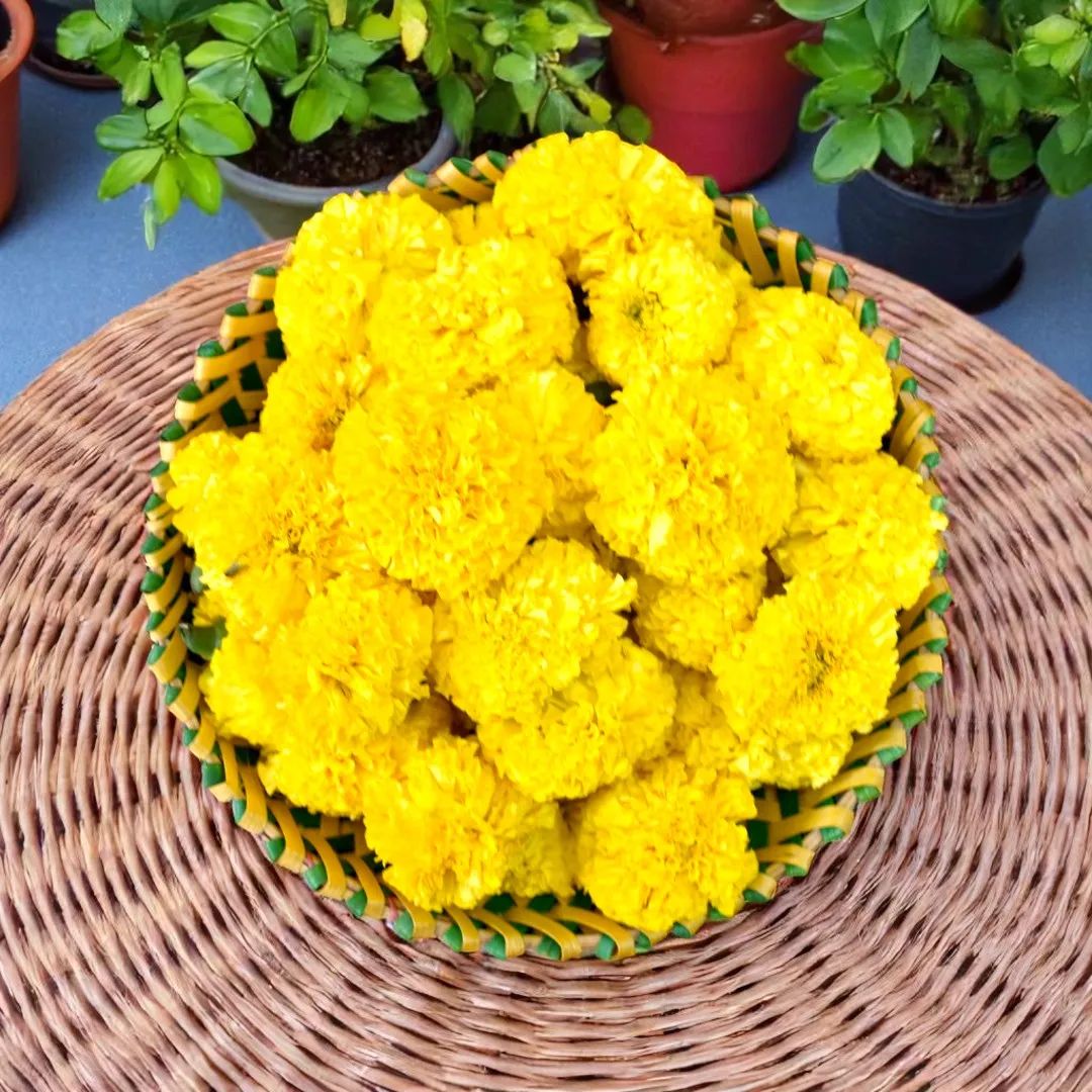 Marigold Loose - Yellow